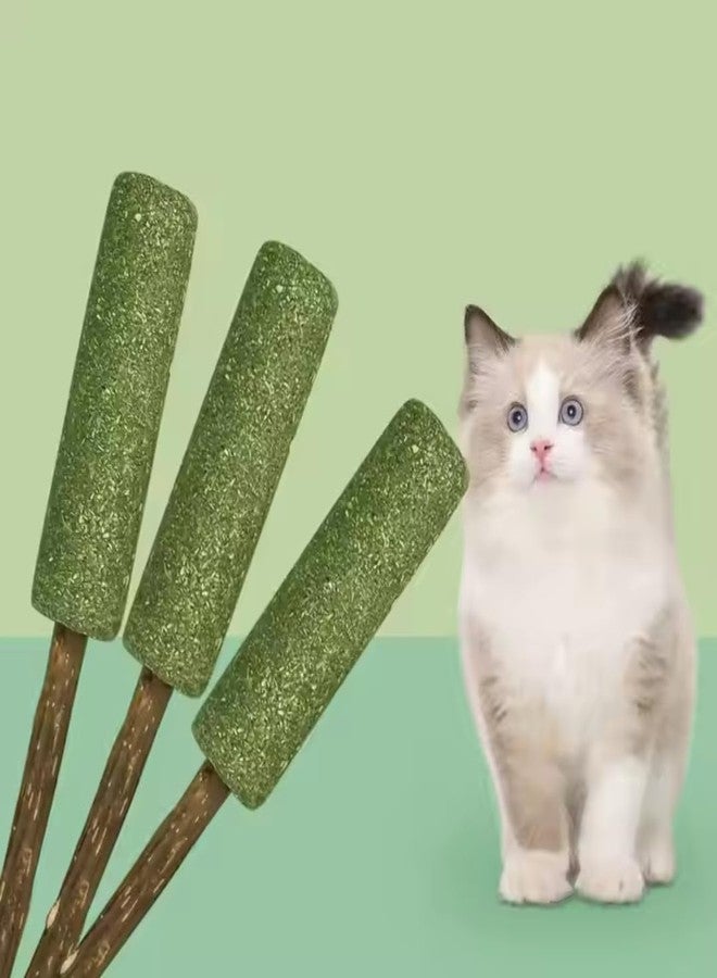 PET FUN مجموعة ألعاب كرات النعناع البري من بيت فن | مكافآت طبيعية من النعناع البري لتنظيف الأسنان والمضغ واللعق | نفس منعش ومرح للقطط والقطط الصغيرة - Image 4